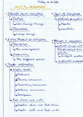 STUDENT´S OUTLINES